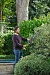 Кусторез аккумуляторный RYOBI RY18HT50A-120